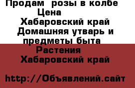 Продам  розы в колбе. › Цена ­ 2 800 - Хабаровский край Домашняя утварь и предметы быта » Растения   . Хабаровский край